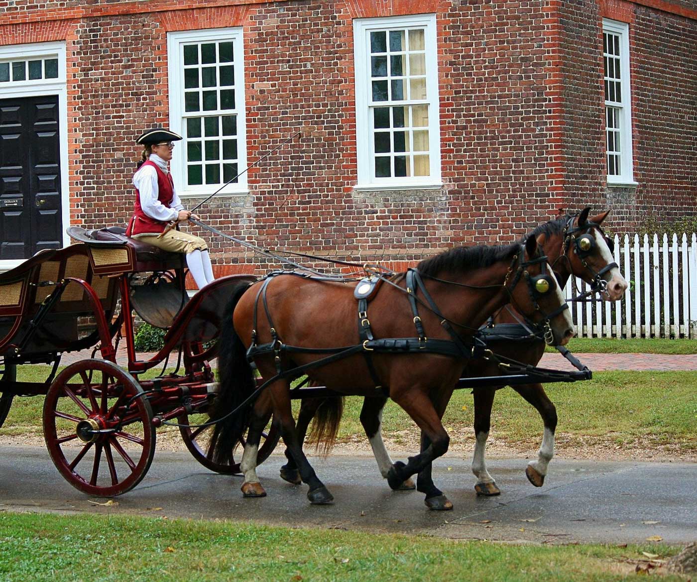 A person driving a carriage with two horses in Colonial Williamsburg, Virginia.