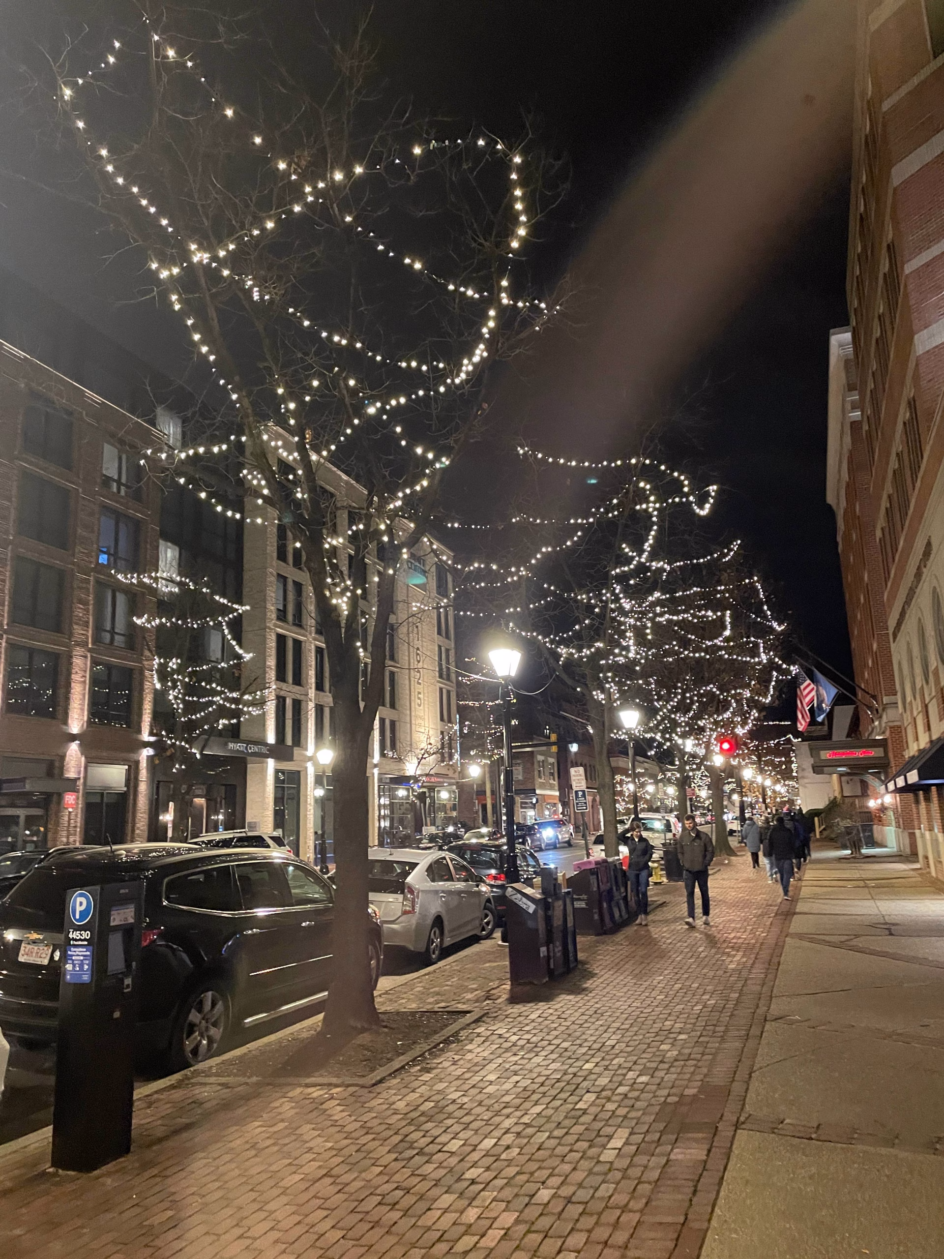 A sidewalk in Virginia at night where people walk and with trees with Christmas lights and cars parked on the road side.
