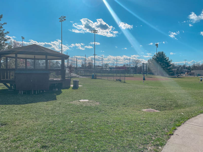 playing baseball in vienna va