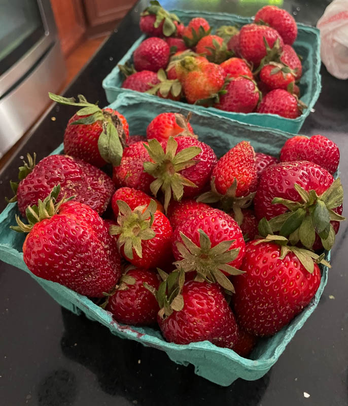 fresh strawberries from farmers market