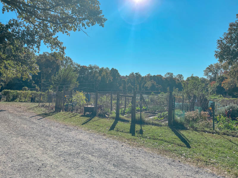 nottoway park garden