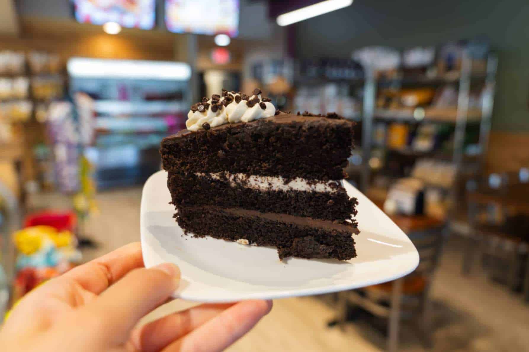 Chocolate cake on a white plate.