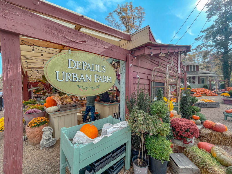 depauls urban farm vienna va