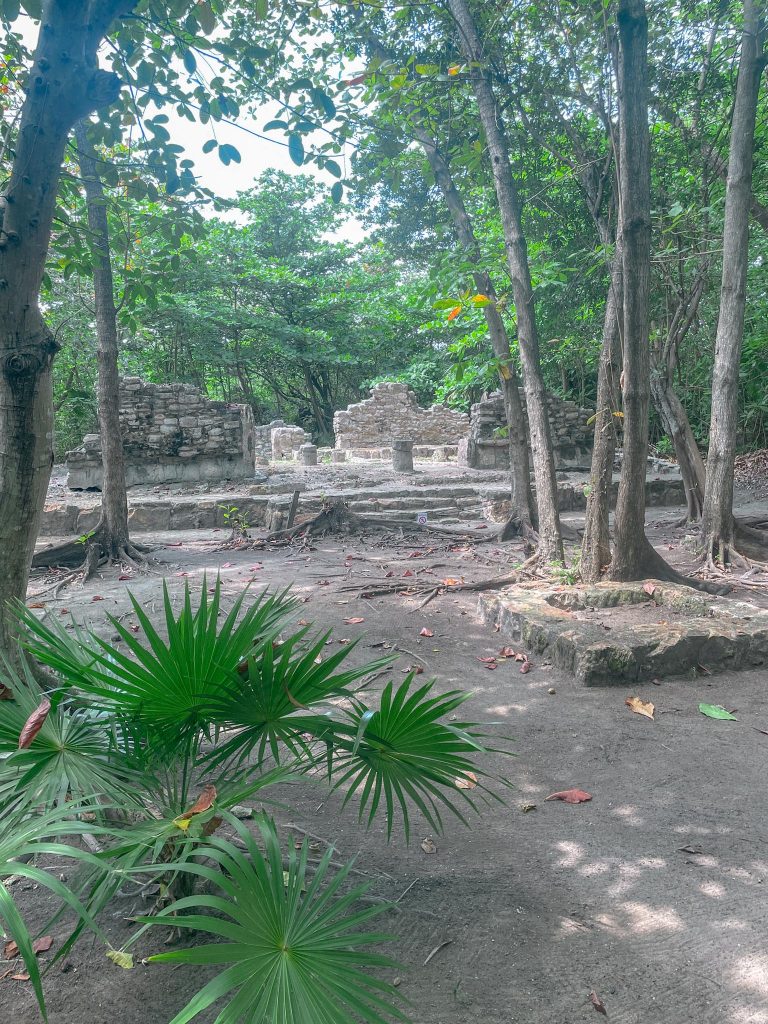 mayan ruins in the forest