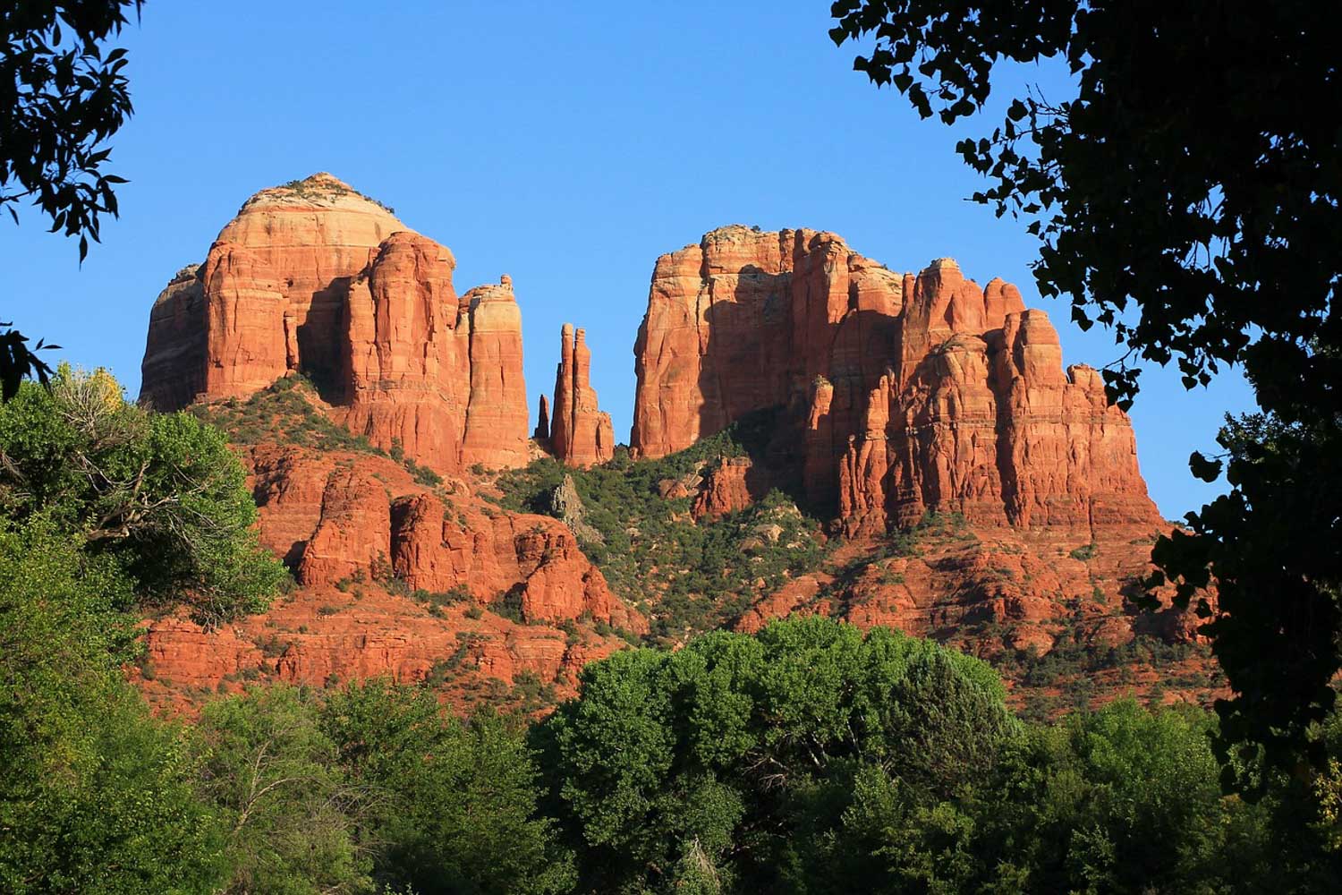 Red canyons surrounded by trees in Arizona.