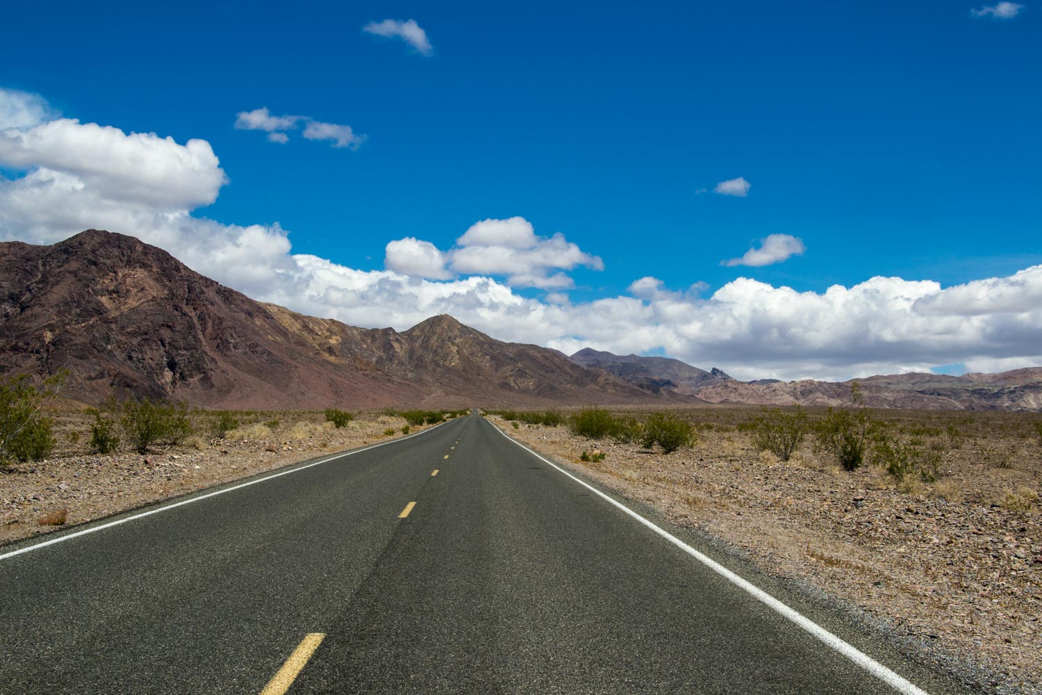 Desert road at Mojave National Preserve.