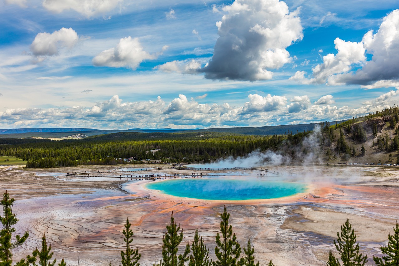 Colorful geyser surrounded by trees.