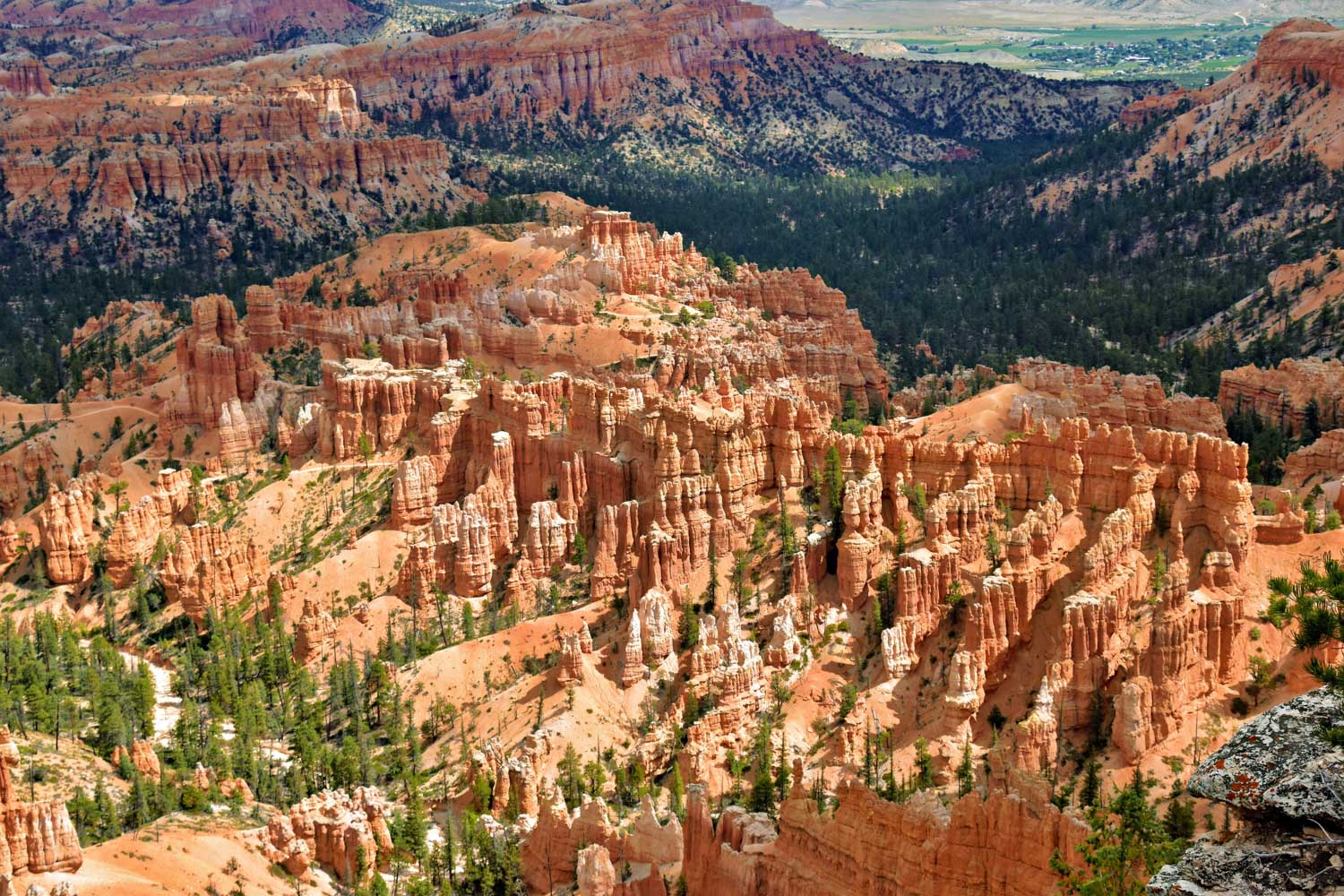 Natural arches and rock formations surrounded by trees.