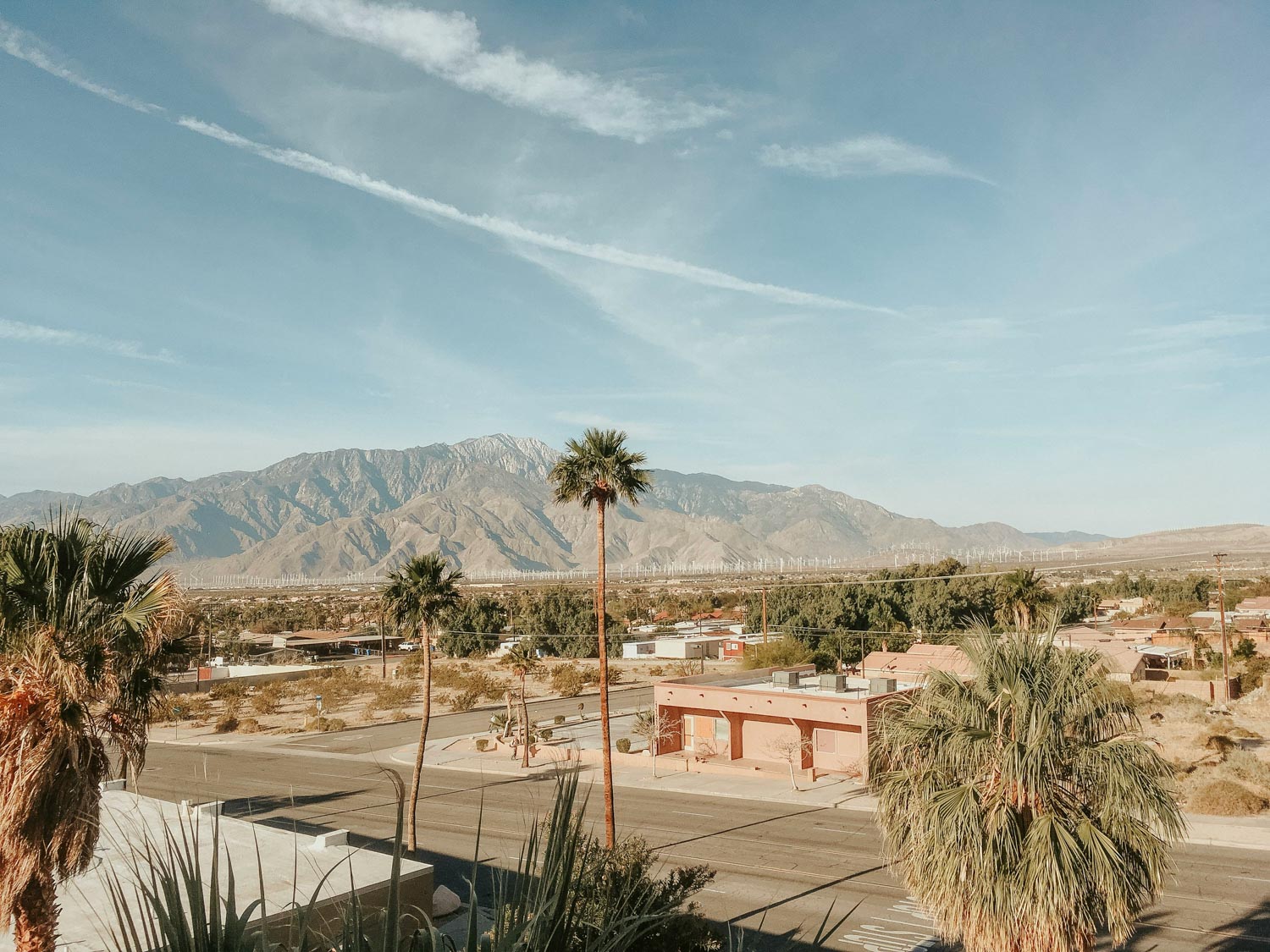 A desert town with palm trees and mountains in the background.
