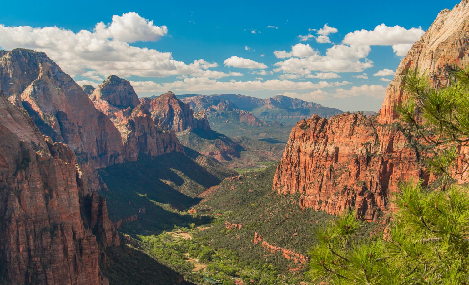 Trees and canyons at Zion National Park.