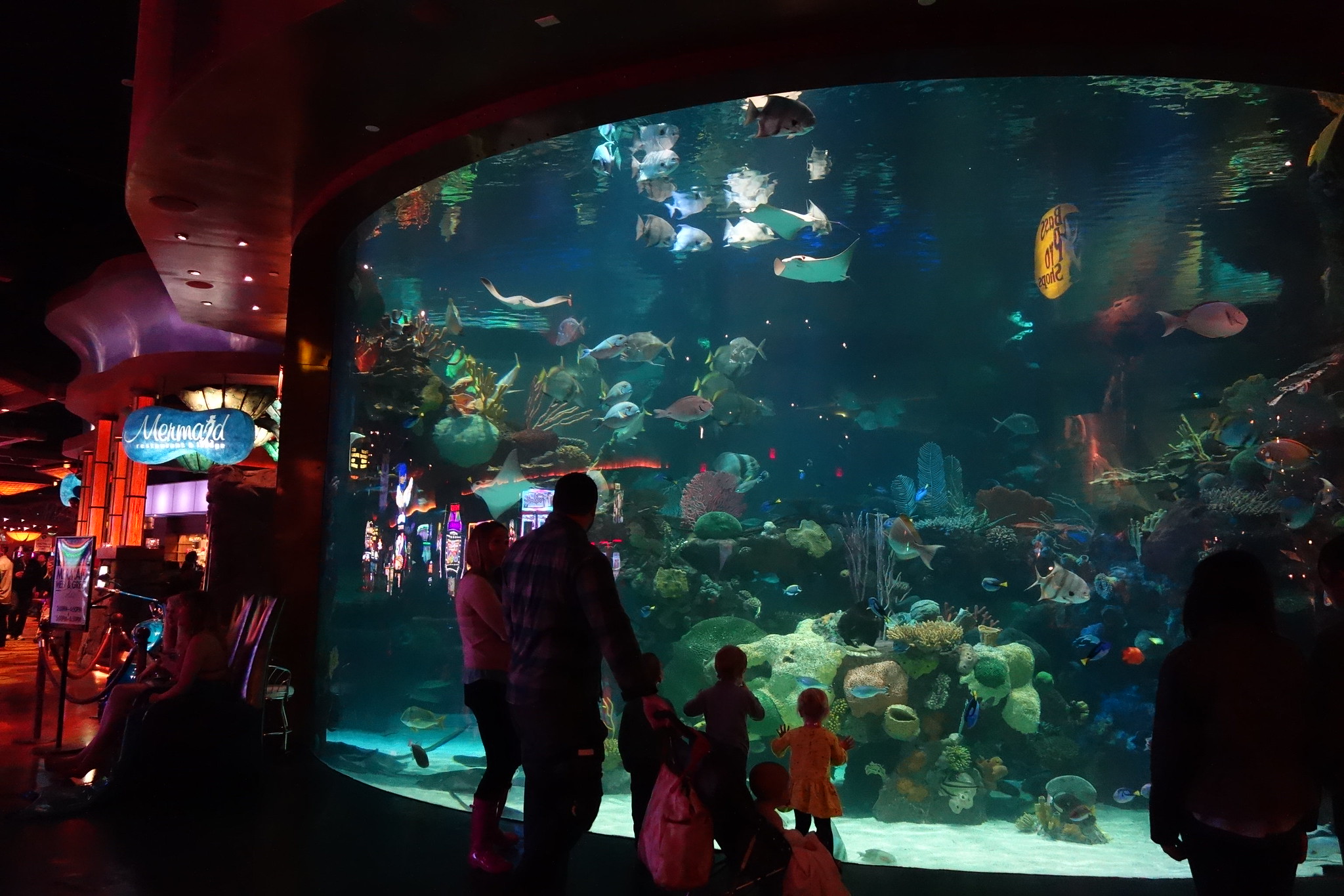 A family with kids looking at an aquarium.