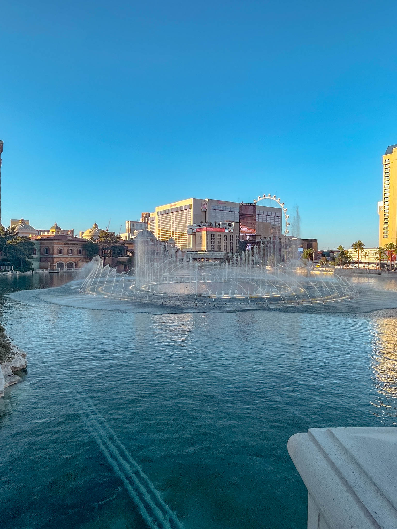 Bellagio Fountains lake.