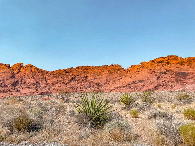 Las Vegas in June: Everything You Need to Know