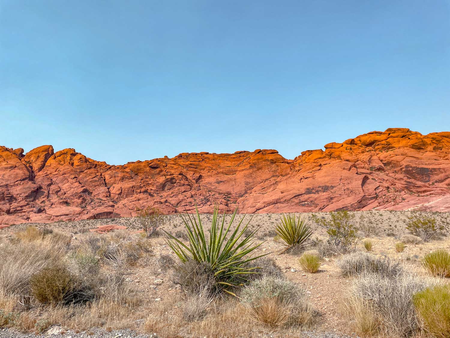 Red Canyon peaks in the desert of Nevada.