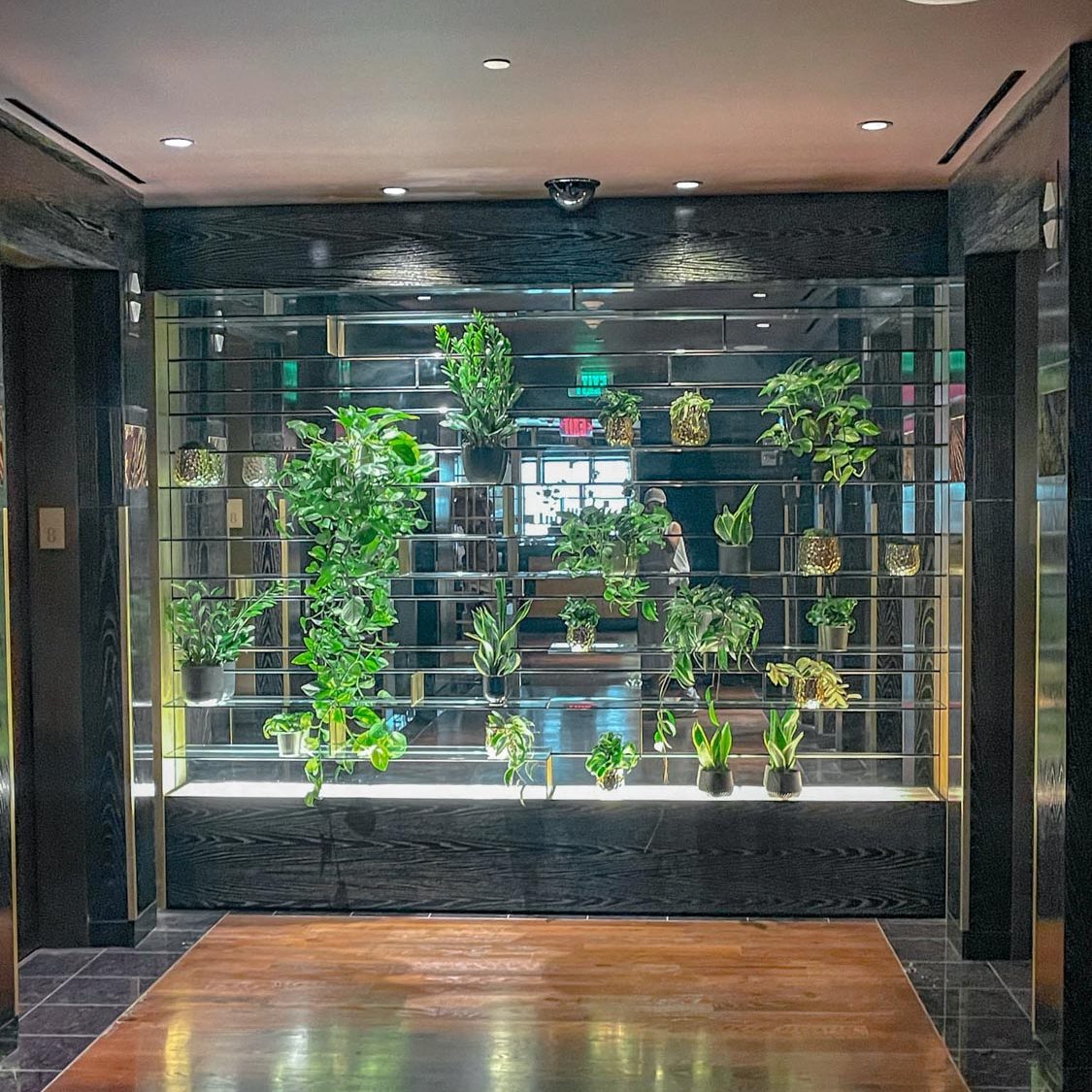 Indoor plants at a spa inside a hotel in Las Vegas.
