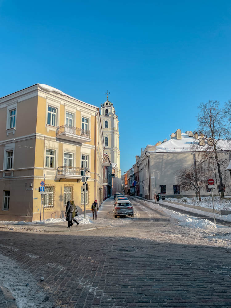 university of lithuania