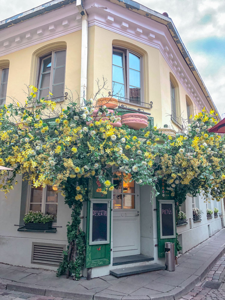 The outside of a bakery in Vilnius with flowering bushes at the entrance.