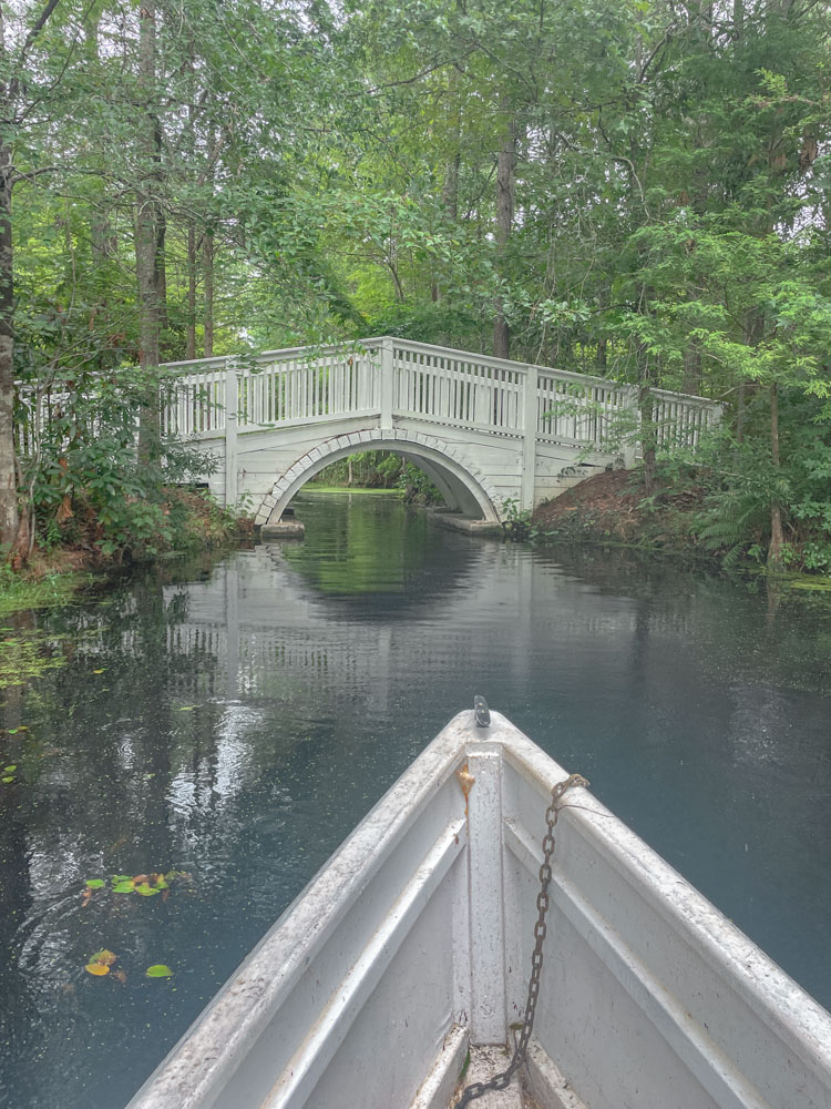 A bridge on a swamp at Cypress Gardens in Charleston, South Carolina.