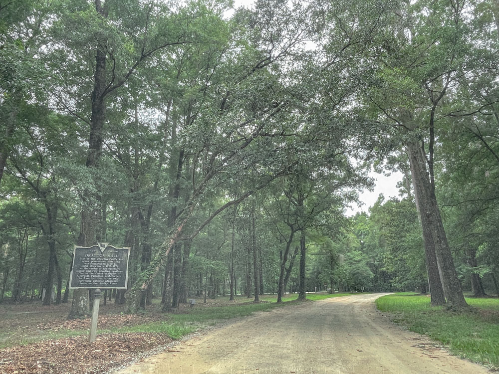 The driveway to a plantation in Charleston, South Carolina.
