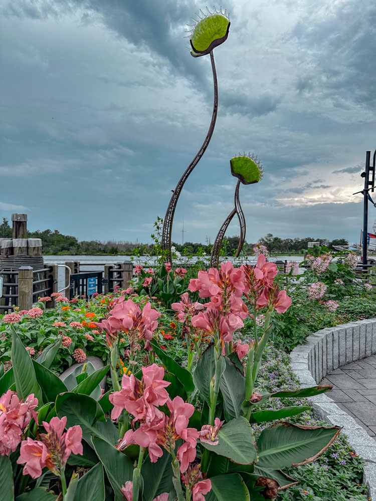 Flowers at a plantation in Charleston, South Carolina.