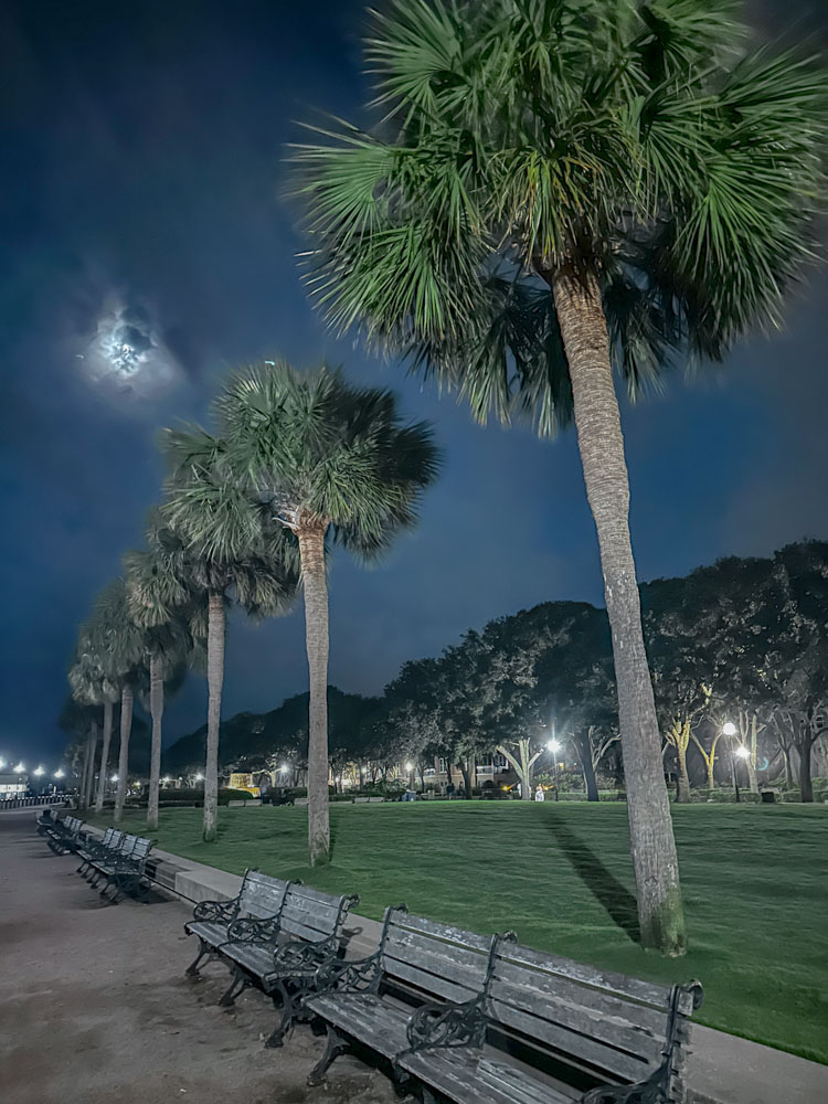 Trees, grassland, and benches at Waterfront Park in Charleston, South Carolina.