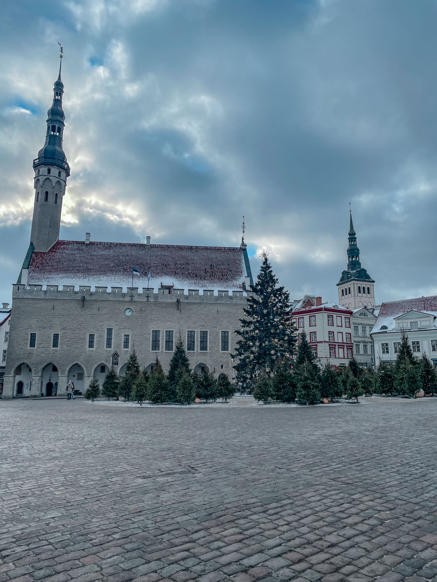 Christmas trees in front of Medieval buildings in the Old Town of Tallinn.