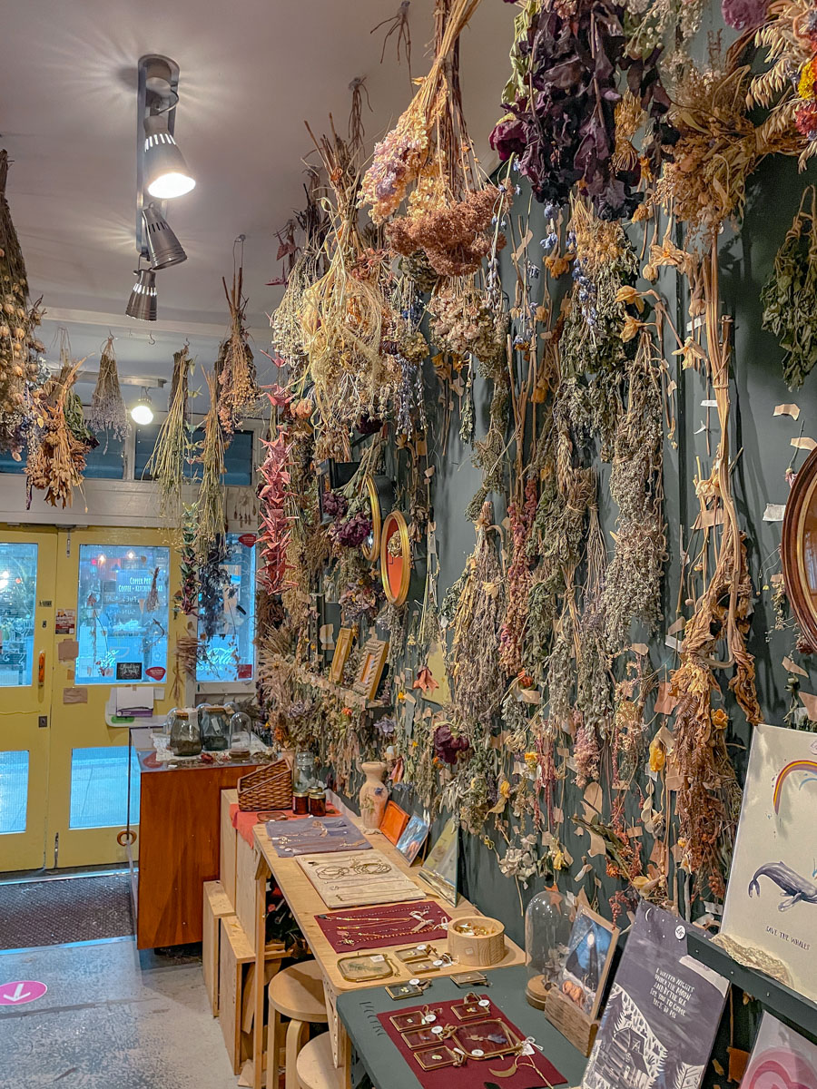 Dried flowers on the wall and ceiling of a shop in Sheffield, UK.