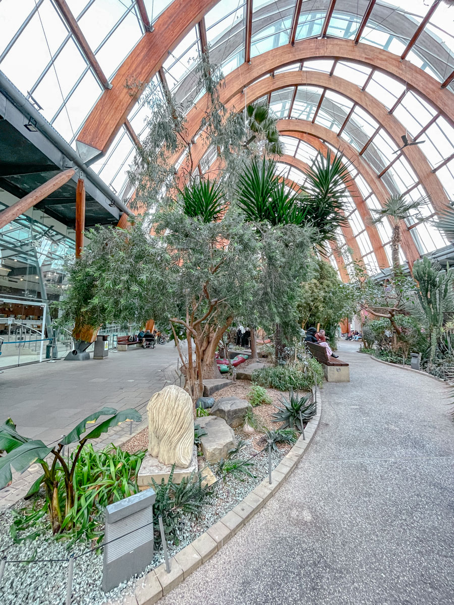 The inside of an indoor garden glasshouse with plants and curved glass roof.