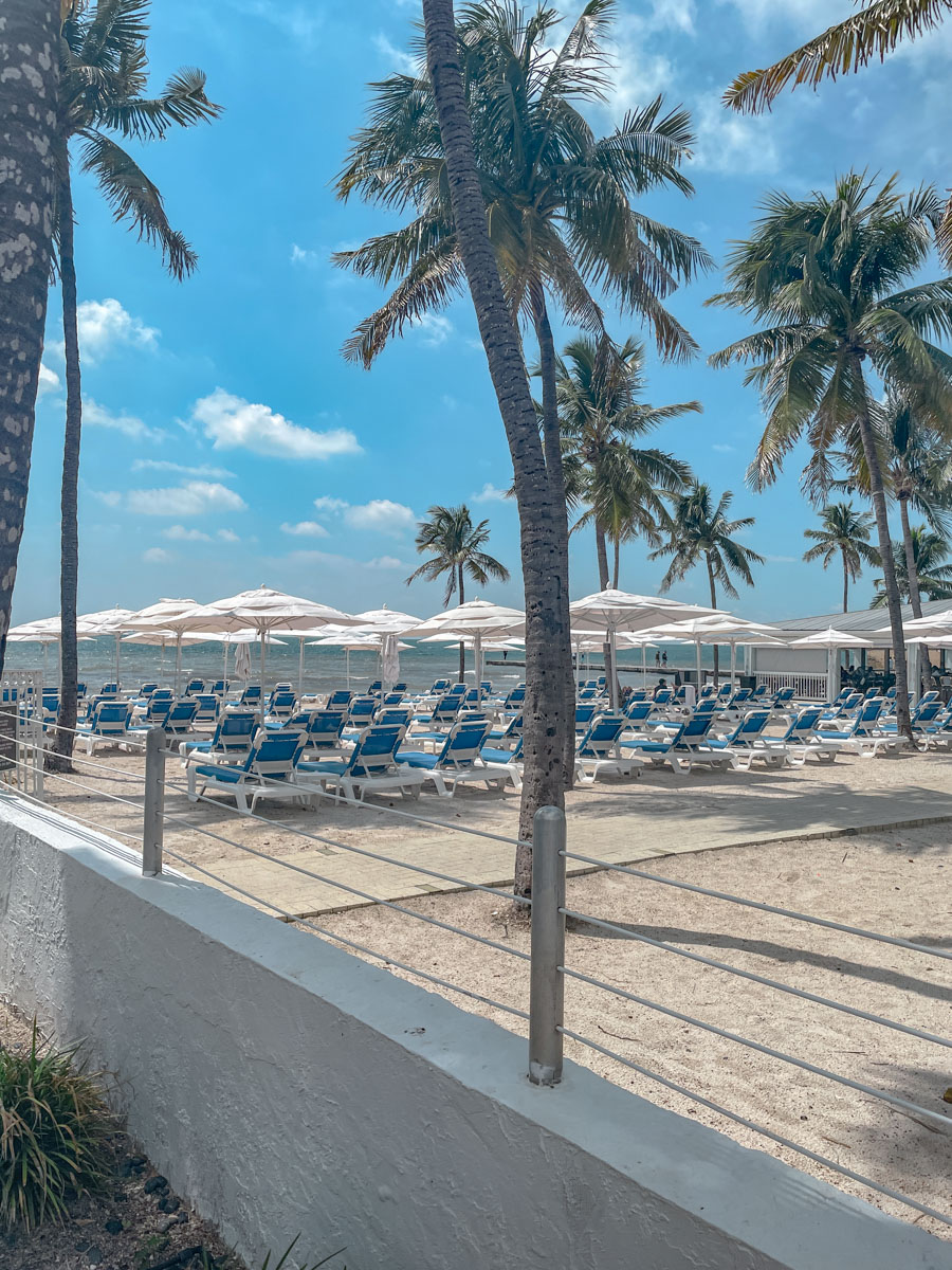 Sun beds with umbrellas and palm trees at a beach resort in Key West, Florida.