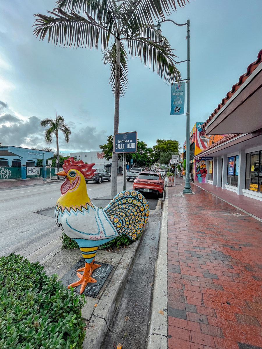 A street of Miami with wet sidewalks on a gloomy day.