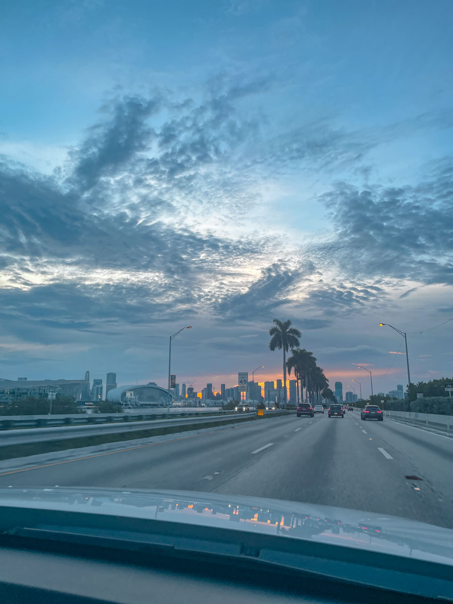 The view of Miami road with palm trees and skyline from the passenger seat of a car on a freeway.