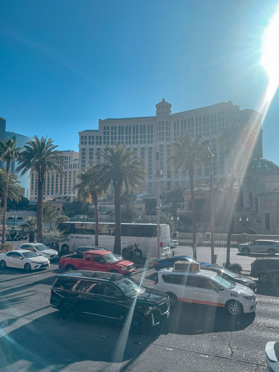 Cars on the road and palm trees in front of a hotel in Las Vegas.