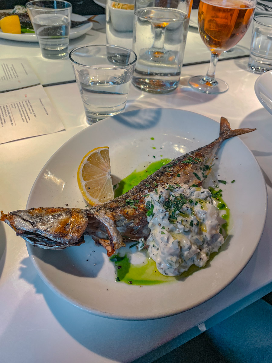 Grilled mackerel with a courgette tzatziki side.
